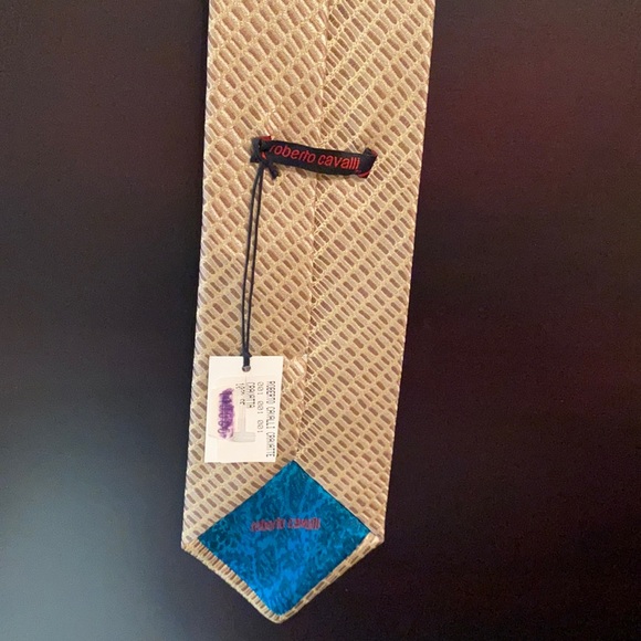 Roberto Cavalli Other - 🎁NWT. ROBERTO CAVALLI tie.